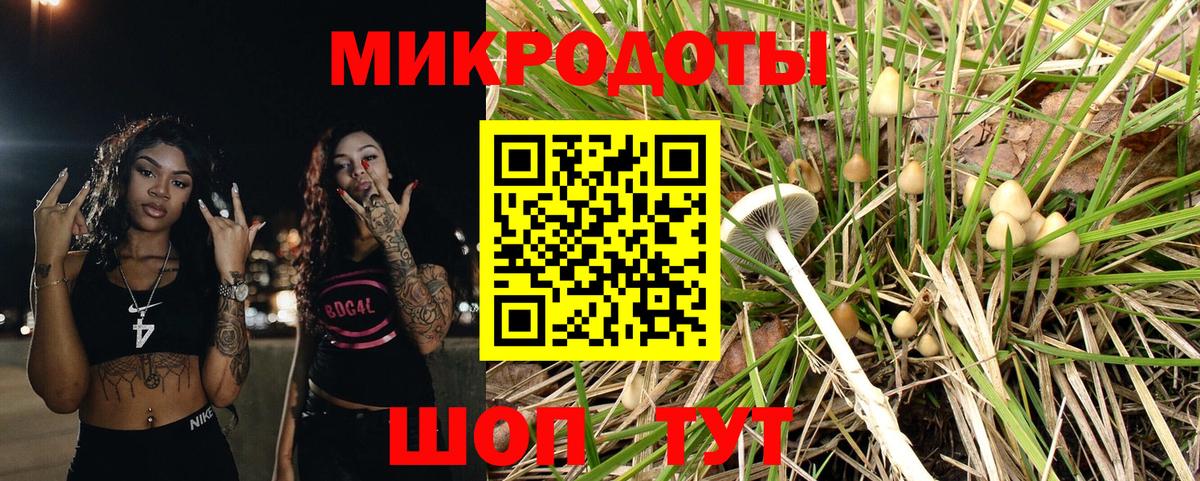 Галлюциногенные грибы мицелий  Вход с VPN  Псилоцибиновые грибы мицелий  Отрадное 