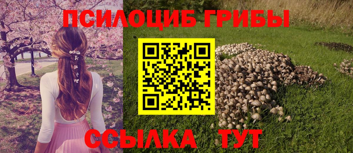 Псилоцибиновые грибы мухоморы Отрадное